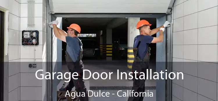 Garage Door Installation Agua Dulce - California