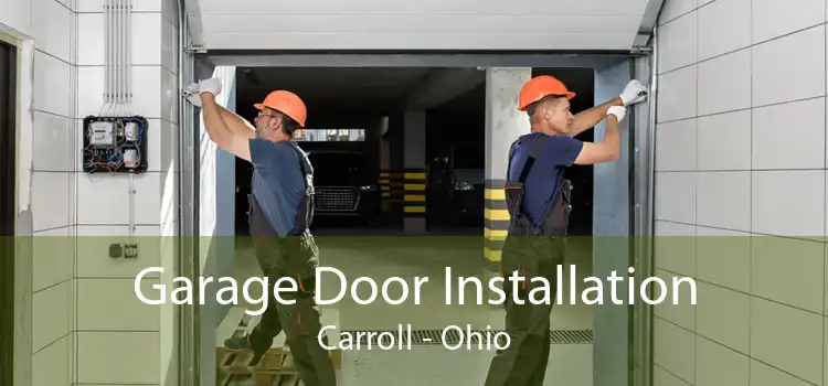 Garage Door Installation Carroll - Ohio
