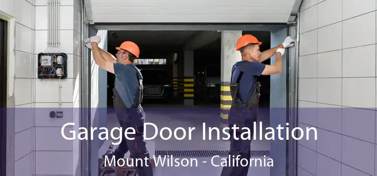 Garage Door Installation Mount Wilson - California