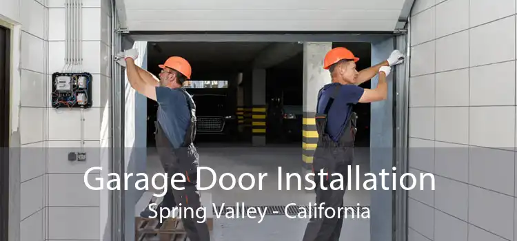 Garage Door Installation Spring Valley - California