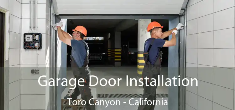 Garage Door Installation Toro Canyon - California