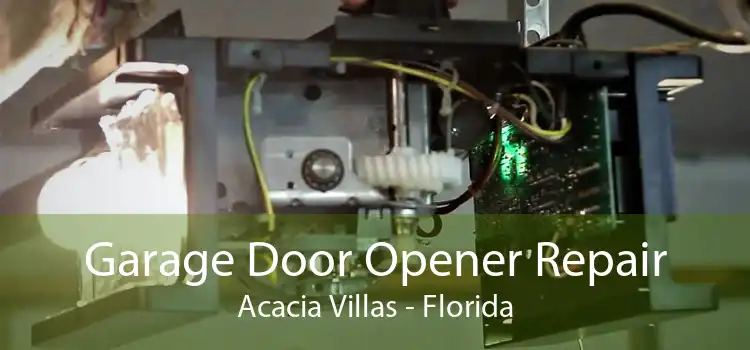 Garage Door Opener Repair Acacia Villas - Florida