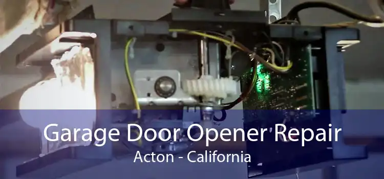 Garage Door Opener Repair Acton - California