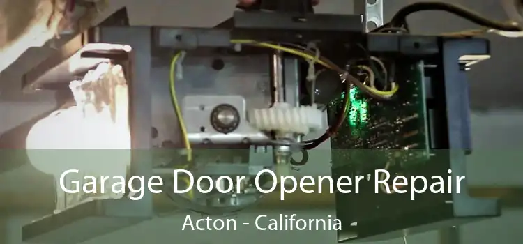 Garage Door Opener Repair Acton - California