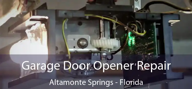 Garage Door Opener Repair Altamonte Springs - Florida