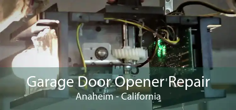 Garage Door Opener Repair Anaheim - California