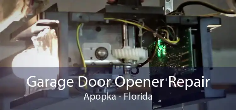 Garage Door Opener Repair Apopka - Florida