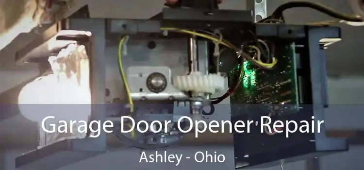 Garage Door Opener Repair Ashley - Ohio