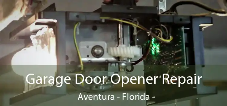 Garage Door Opener Repair Aventura - Florida