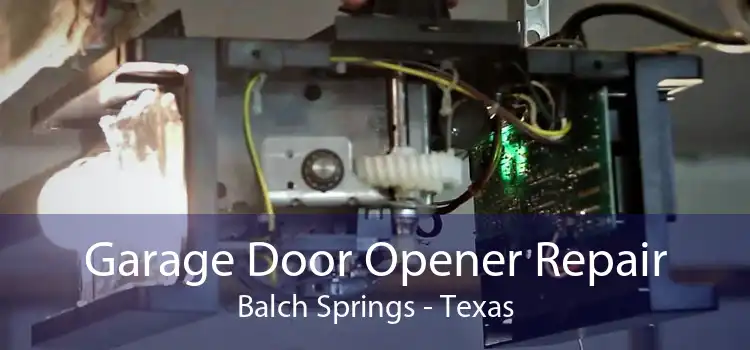 Garage Door Opener Repair Balch Springs - Texas