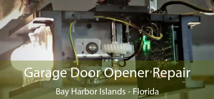 Garage Door Opener Repair Bay Harbor Islands - Florida