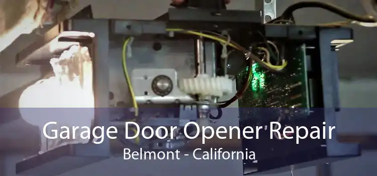 Garage Door Opener Repair Belmont - California