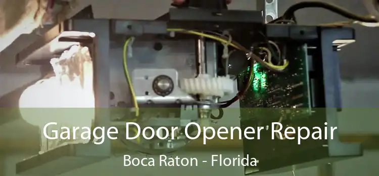 Garage Door Opener Repair Boca Raton - Florida