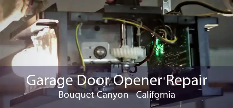 Garage Door Opener Repair Bouquet Canyon - California