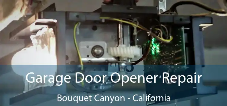 Garage Door Opener Repair Bouquet Canyon - California