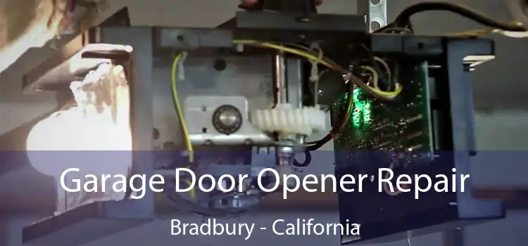 Garage Door Opener Repair Bradbury - California