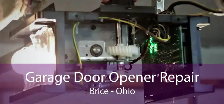 Garage Door Opener Repair Brice - Ohio