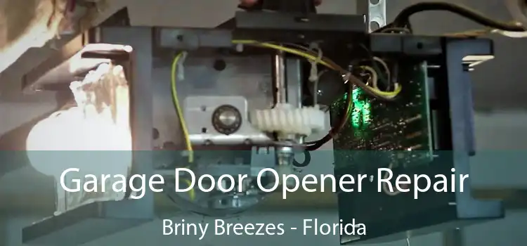 Garage Door Opener Repair Briny Breezes - Florida