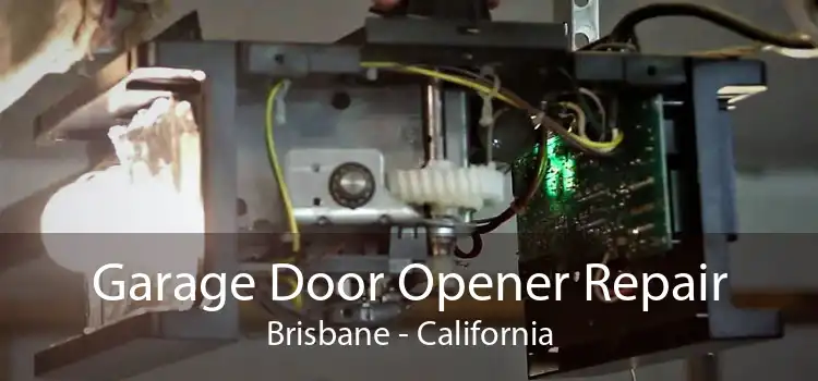 Garage Door Opener Repair Brisbane - California