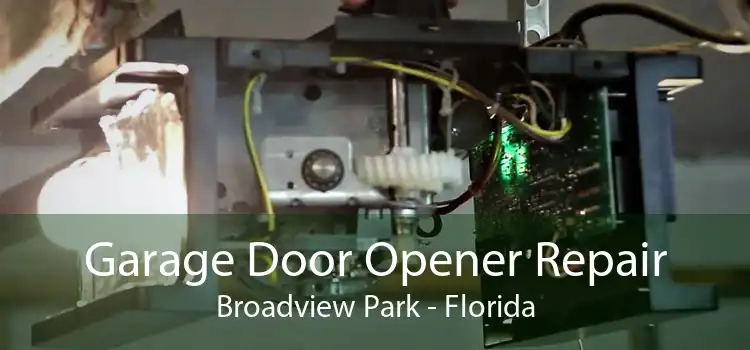 Garage Door Opener Repair Broadview Park - Florida