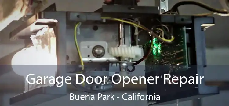 Garage Door Opener Repair Buena Park - California