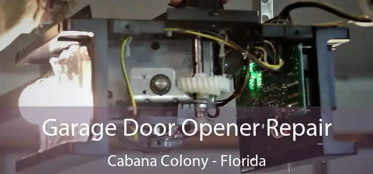 Garage Door Opener Repair Cabana Colony - Florida