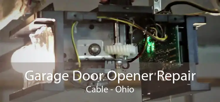 Garage Door Opener Repair Cable - Ohio