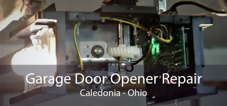 Garage Door Opener Repair Caledonia - Ohio