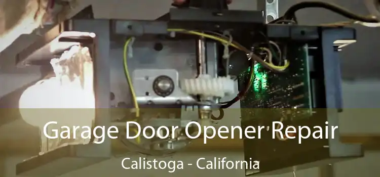 Garage Door Opener Repair Calistoga - California