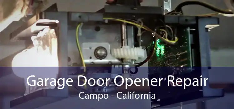Garage Door Opener Repair Campo - California