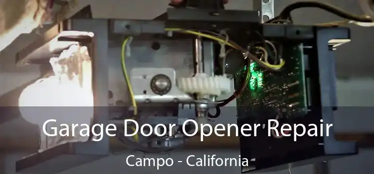 Garage Door Opener Repair Campo - California