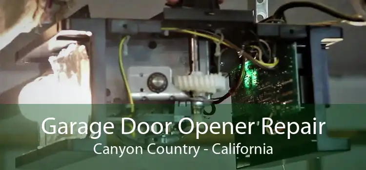 Garage Door Opener Repair Canyon Country - California