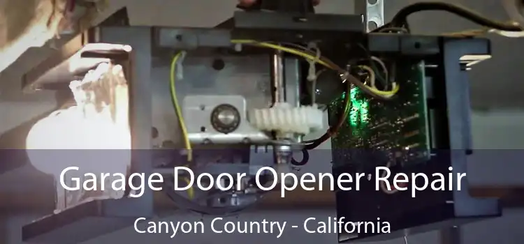 Garage Door Opener Repair Canyon Country - California