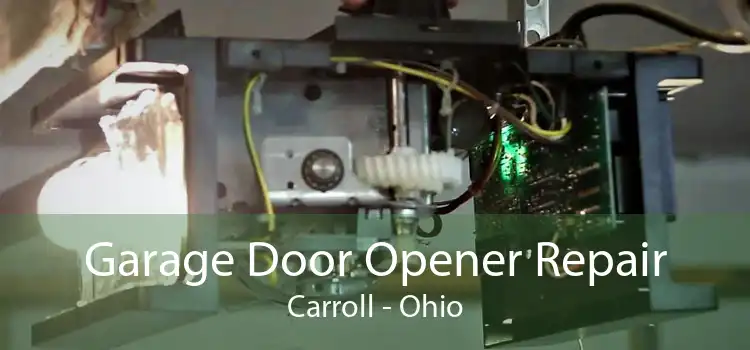 Garage Door Opener Repair Carroll - Ohio