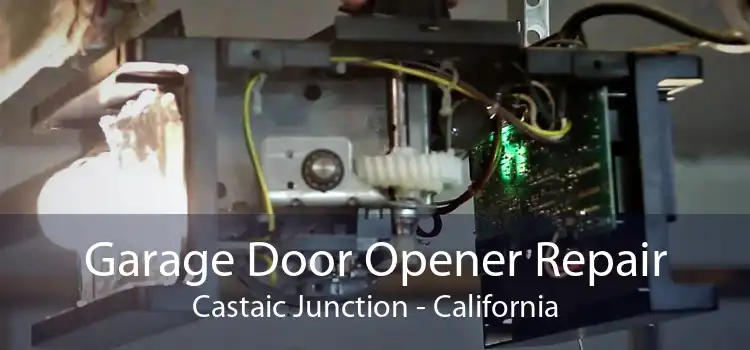 Garage Door Opener Repair Castaic Junction - California