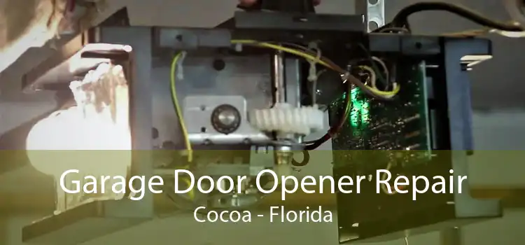 Garage Door Opener Repair Cocoa - Florida