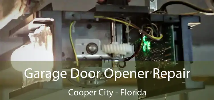 Garage Door Opener Repair Cooper City - Florida