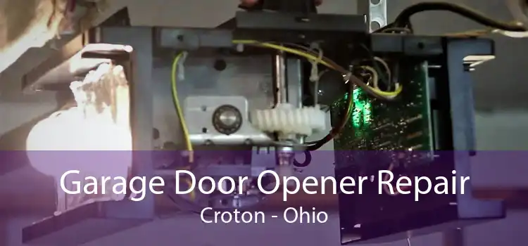 Garage Door Opener Repair Croton - Ohio