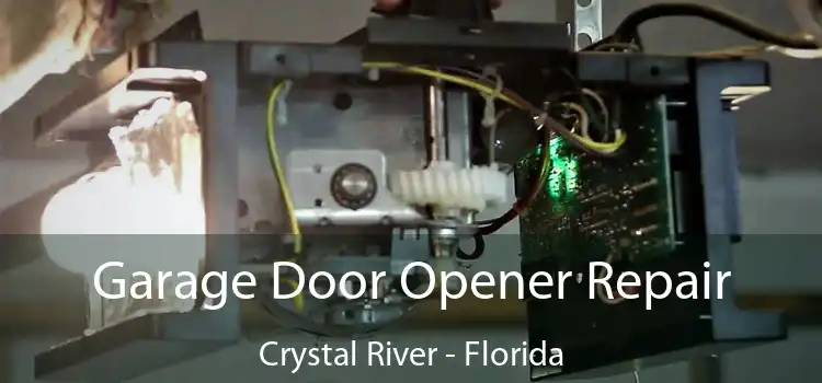 Garage Door Opener Repair Crystal River - Florida