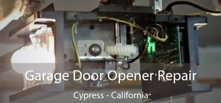 Garage Door Opener Repair Cypress - California