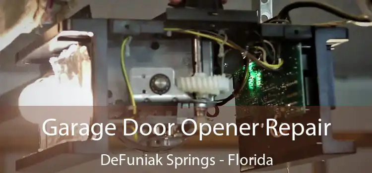 Garage Door Opener Repair DeFuniak Springs - Florida