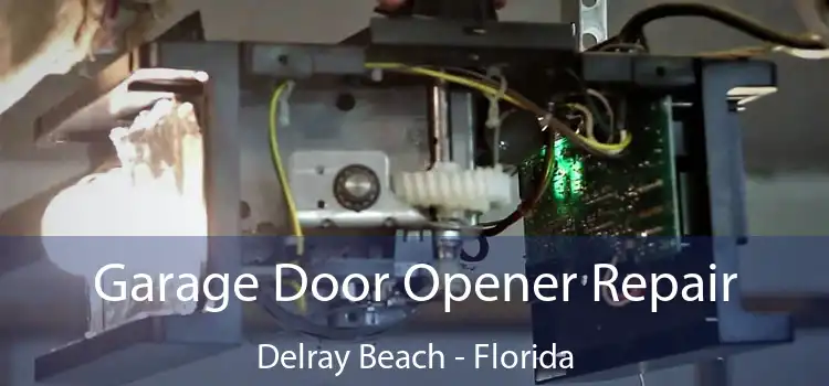 Garage Door Opener Repair Delray Beach - Florida