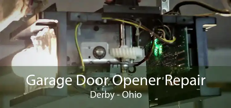 Garage Door Opener Repair Derby - Ohio