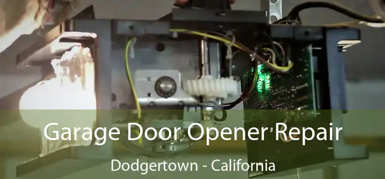 Garage Door Opener Repair Dodgertown - California