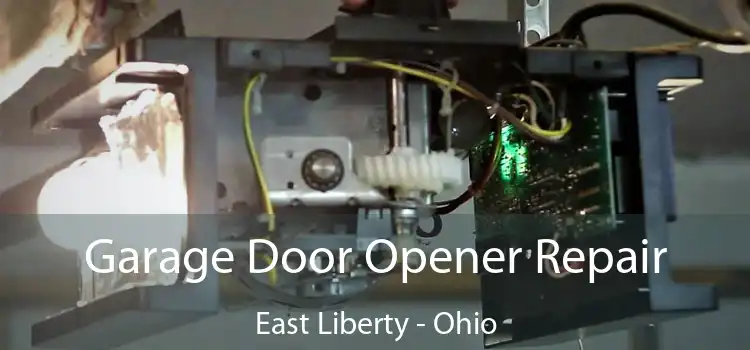 Garage Door Opener Repair East Liberty - Ohio