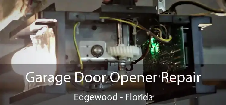 Garage Door Opener Repair Edgewood - Florida