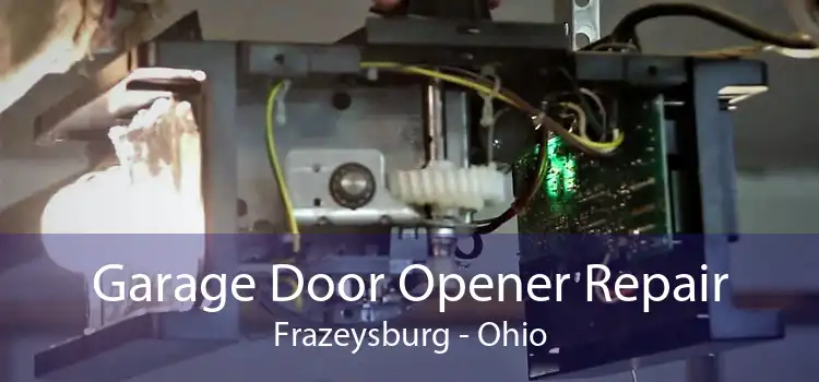 Garage Door Opener Repair Frazeysburg - Ohio