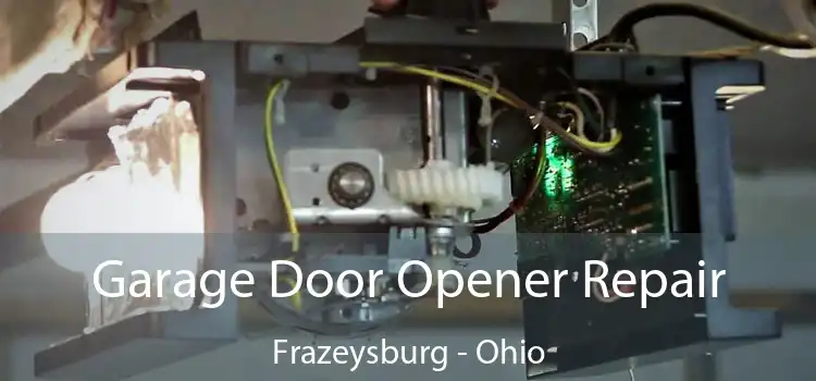 Garage Door Opener Repair Frazeysburg - Ohio