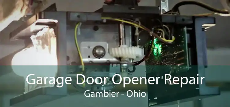 Garage Door Opener Repair Gambier - Ohio