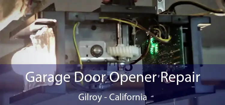 Garage Door Opener Repair Gilroy - California